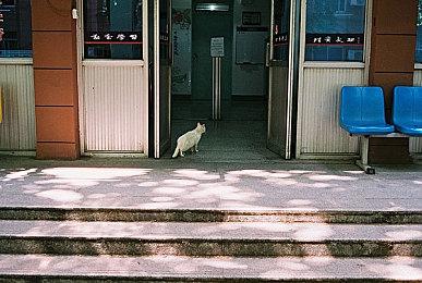 《真人快打》30周年捆绑包泄露 令粉丝倍感失望